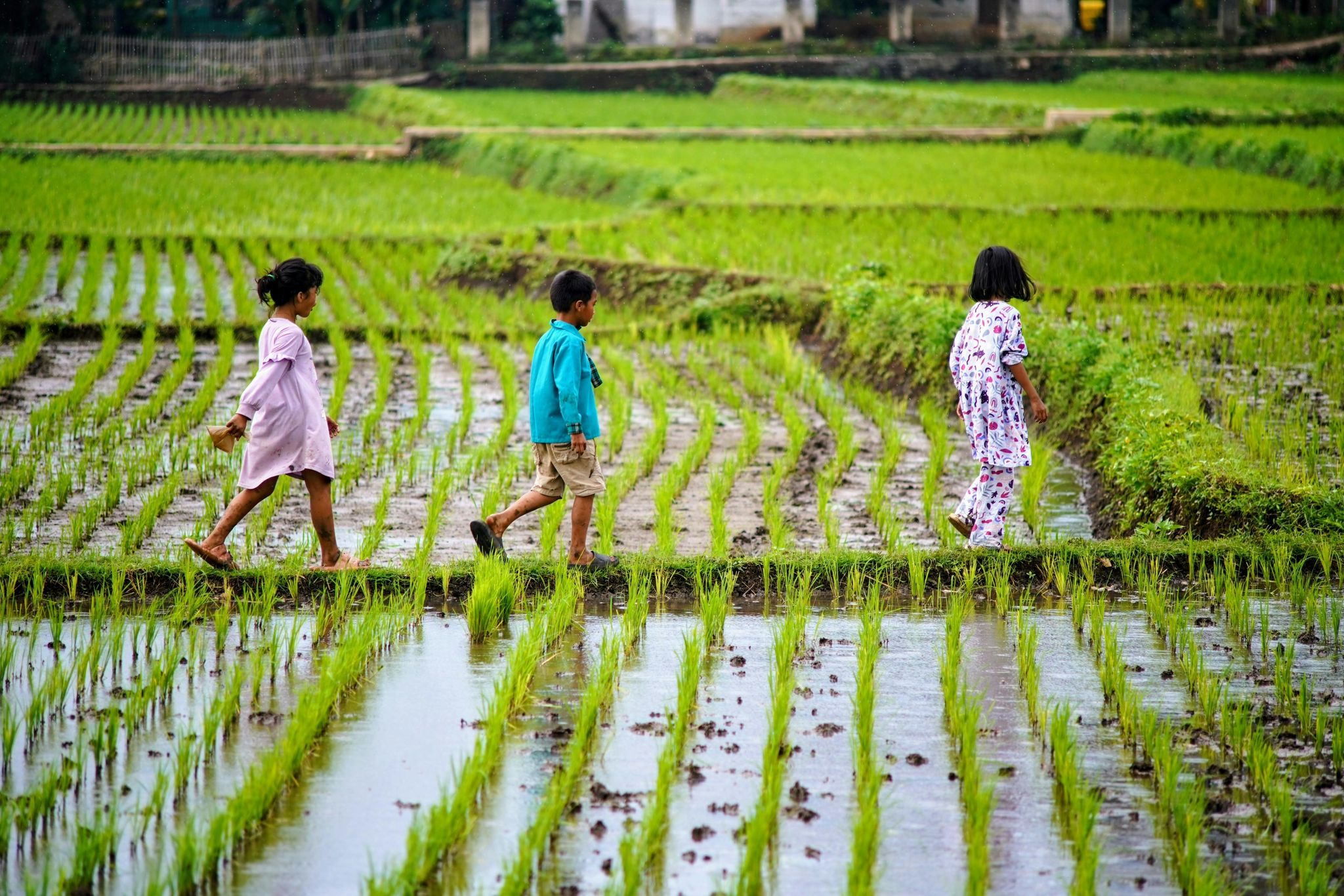 Indonesia Potensial Resource Economy